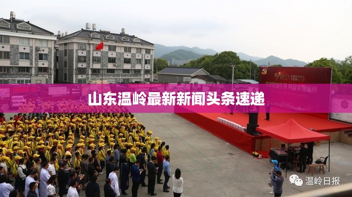 山东温岭最新新闻头条速递
