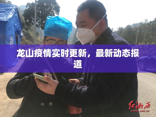 龙山疫情实时更新，最新动态报道