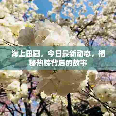 海上田园,今日最新动态,揭秘热榜背后的故事