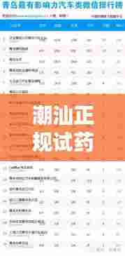 潮汕正规试药公司排名揭秘，行业地位与影响力评估