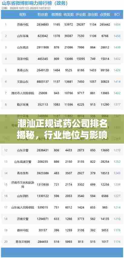 潮汕正规试药公司排名揭秘,行业地位与影响力评估