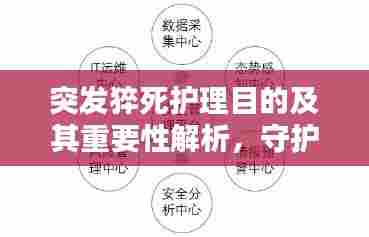 突发猝死护理目的及其重要性解析，守护生命的关键一环