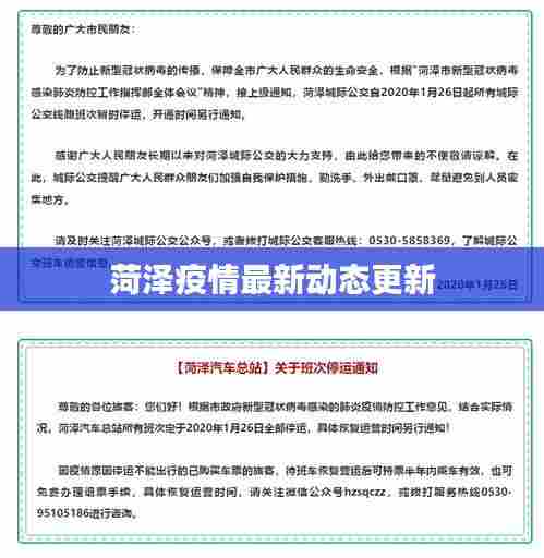 菏泽疫情最新动态更新