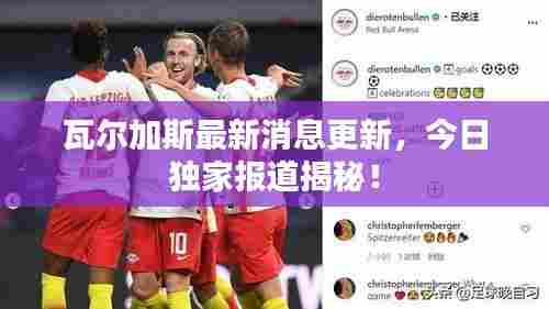 瓦尔加斯最新消息更新，今日独家报道揭秘！