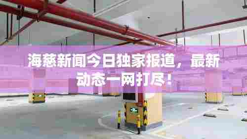 海慈新闻今日独家报道，最新动态一网打尽！