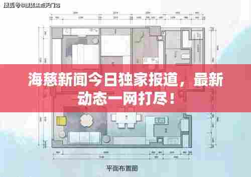 海慈新闻今日独家报道,最新动态一网打尽!