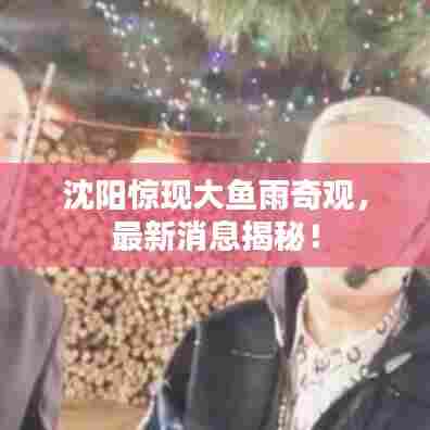 沈阳惊现大鱼雨奇观,最新消息揭秘!