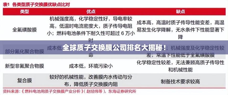 全球质子交换膜公司排名大揭秘!