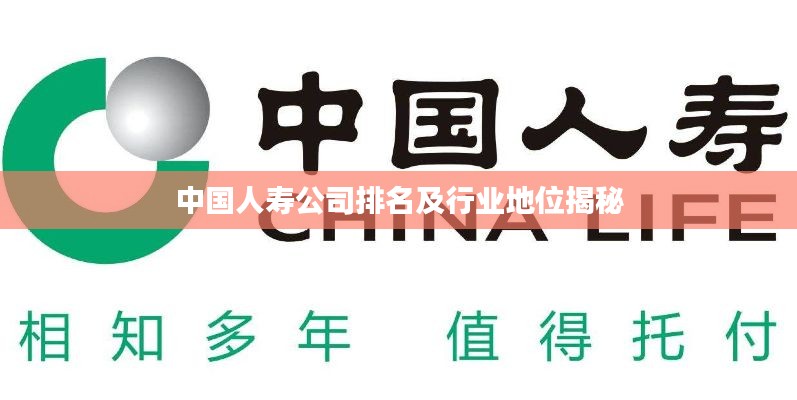 中国人寿公司排名及行业地位揭秘