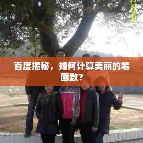 百度揭秘，如何计算美丽的笔画数？