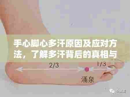 手心脚心多汗原因及应对方法，了解多汗背后的真相与应对之道