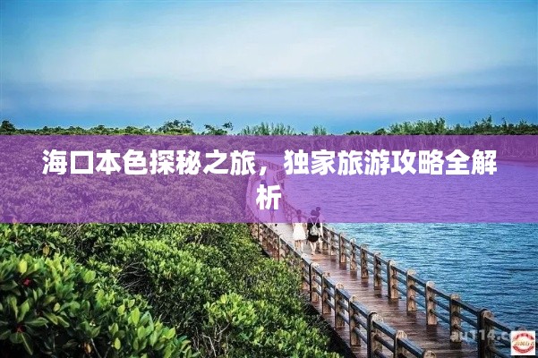 海口本色探秘之旅，独家旅游攻略全解析