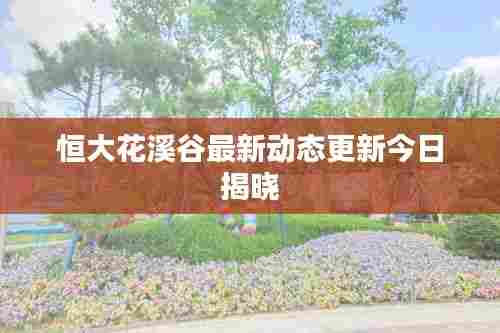 恒大花溪谷最新动态更新今日揭晓