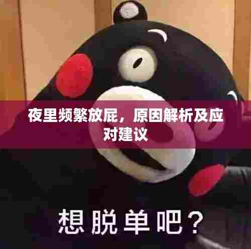 夜里频繁放屁，原因解析及应对建议