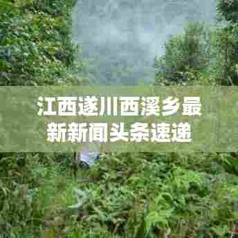 江西遂川西溪乡最新新闻头条速递