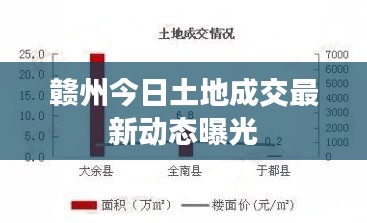 赣州今日土地成交最新动态曝光