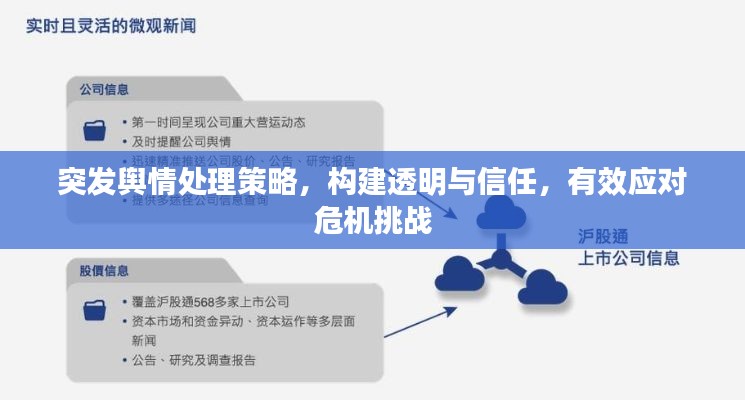 突发舆情处理策略，构建透明与信任，有效应对危机挑战