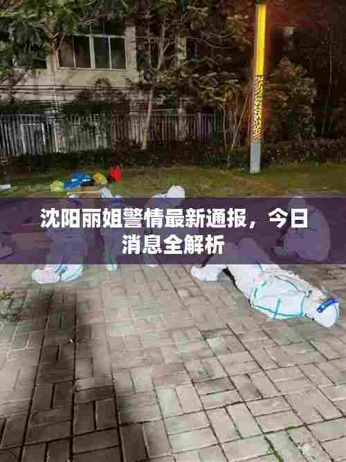 沈阳丽姐警情最新通报，今日消息全解析