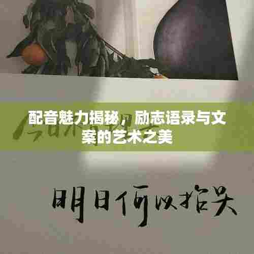 配音魅力揭秘,励志语录与文案的艺术之美