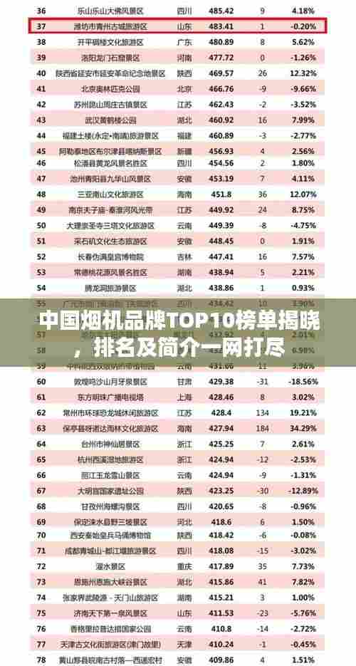 中国烟机品牌TOP10榜单揭晓，排名及简介一网打尽