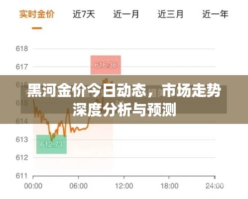 黑河金价今日动态，市场走势深度分析与预测