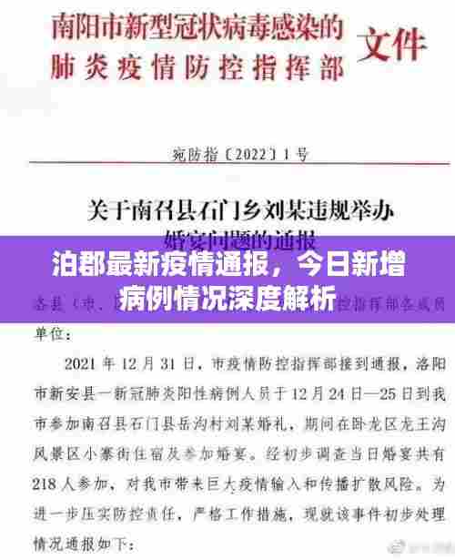 泊郡最新疫情通报，今日新增病例情况深度解析