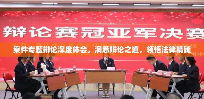 案件专题辩论深度体会，洞悉辩论之道，领悟法律精髓