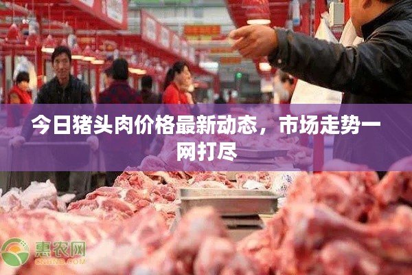 今日猪头肉价格最新动态,市场走势一网打尽