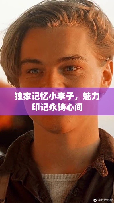 独家记忆小李子，魅力印记永铸心间