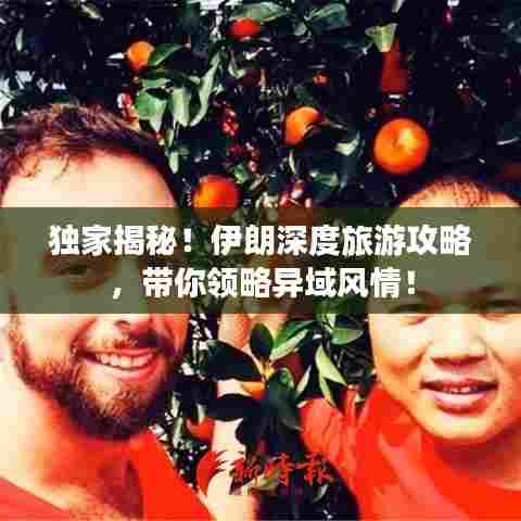 独家揭秘！伊朗深度旅游攻略，带你领略异域风情！