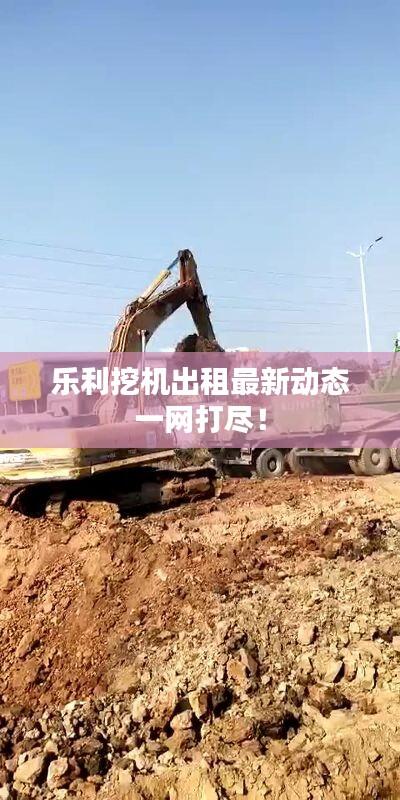 乐利挖机出租最新动态一网打尽！