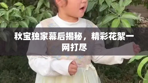 秋宝独家幕后揭秘,精彩花絮一网打尽