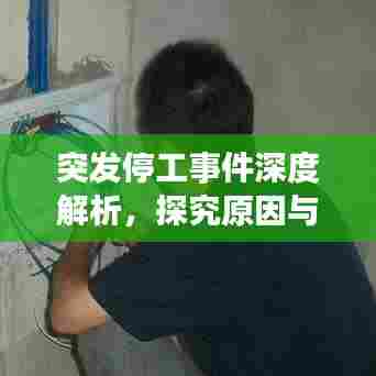 突发停工事件深度解析，探究原因与应对策略之道