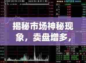 揭秘市场神秘现象，卖盘增多，价格却坚挺不跌