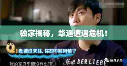 独家揭秘，华遥遭遇危机！