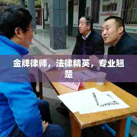 金牌律师，法律精英，专业翘楚