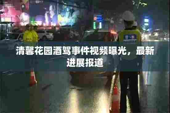 清馨花园酒驾事件视频曝光,最新进展报道