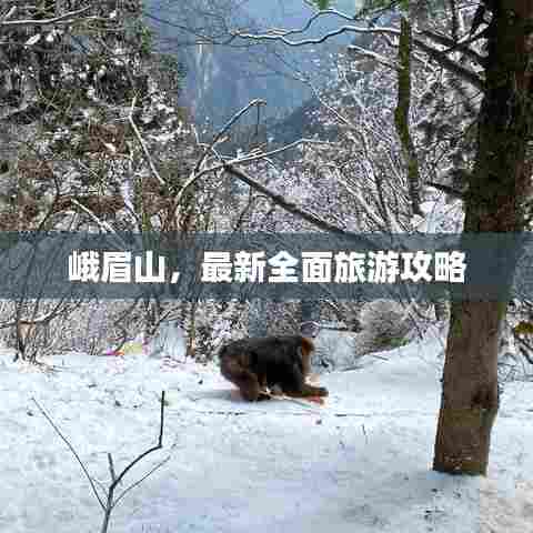 峨眉山，最新全面旅游攻略