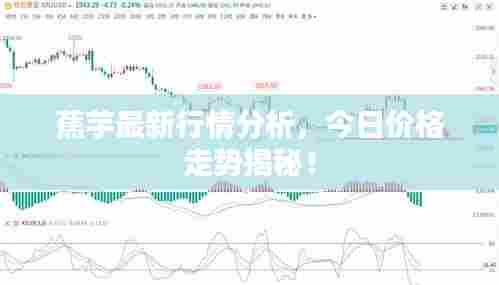 蕉芋最新行情分析，今日价格走势揭秘！
