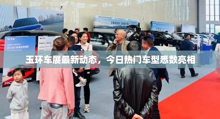玉环车展最新动态,今日热门车型悉数亮相