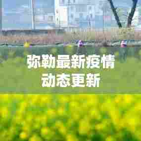 弥勒最新疫情动态更新