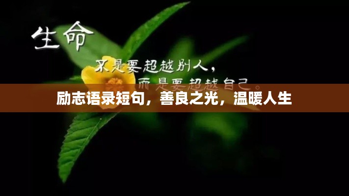 励志语录短句，善良之光，温暖人生