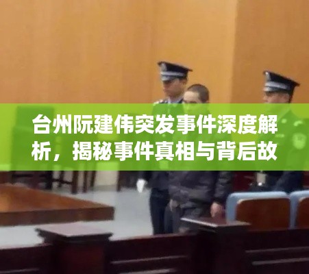 台州阮建伟突发事件深度解析,揭秘事件真相与背后故事