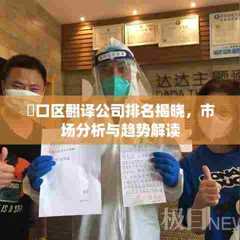 硚口区翻译公司排名揭晓，市场分析与趋势解读