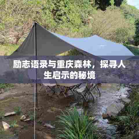 励志语录与重庆森林，探寻人生启示的秘境