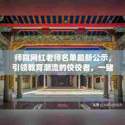 师院网红老师名单最新公示，引领教育潮流的佼佼者，一睹风采！
