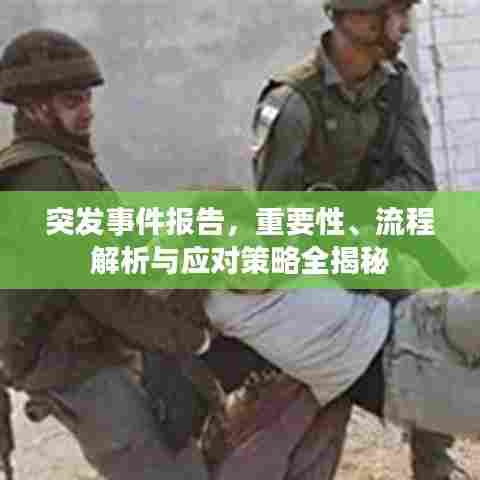 突发事件报告，重要性、流程解析与应对策略全揭秘
