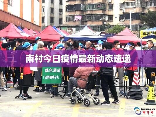 南村今日疫情最新动态速递