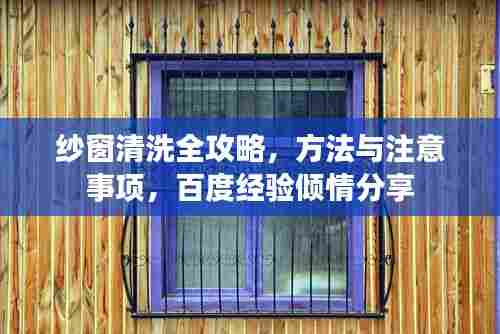 纱窗清洗全攻略，方法与注意事项，百度经验倾情分享