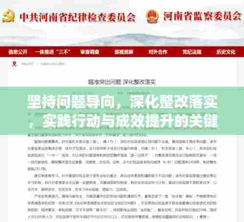 坚持问题导向,深化整改落实,实践行动与成效提升的关键